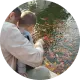 Avatar 1